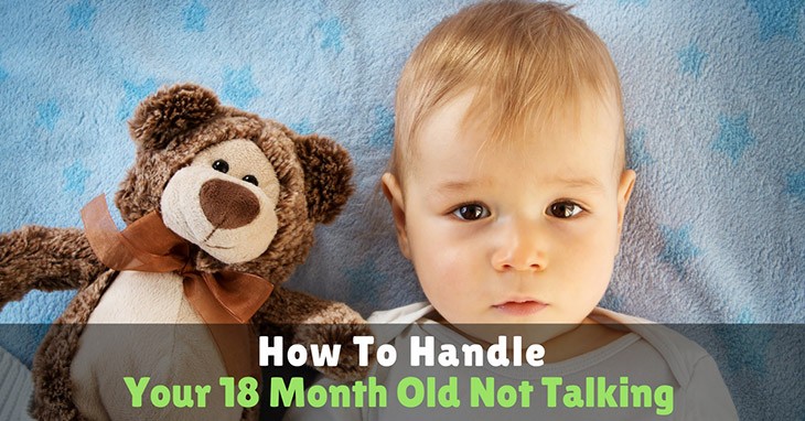 How To Handle Your 18 Month Old Not Talking